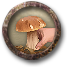 Fișier:Picking mushrooms.png
