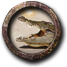 Fișier:Vânează aligatori.png